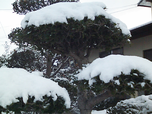 f0092389_18172516.jpg