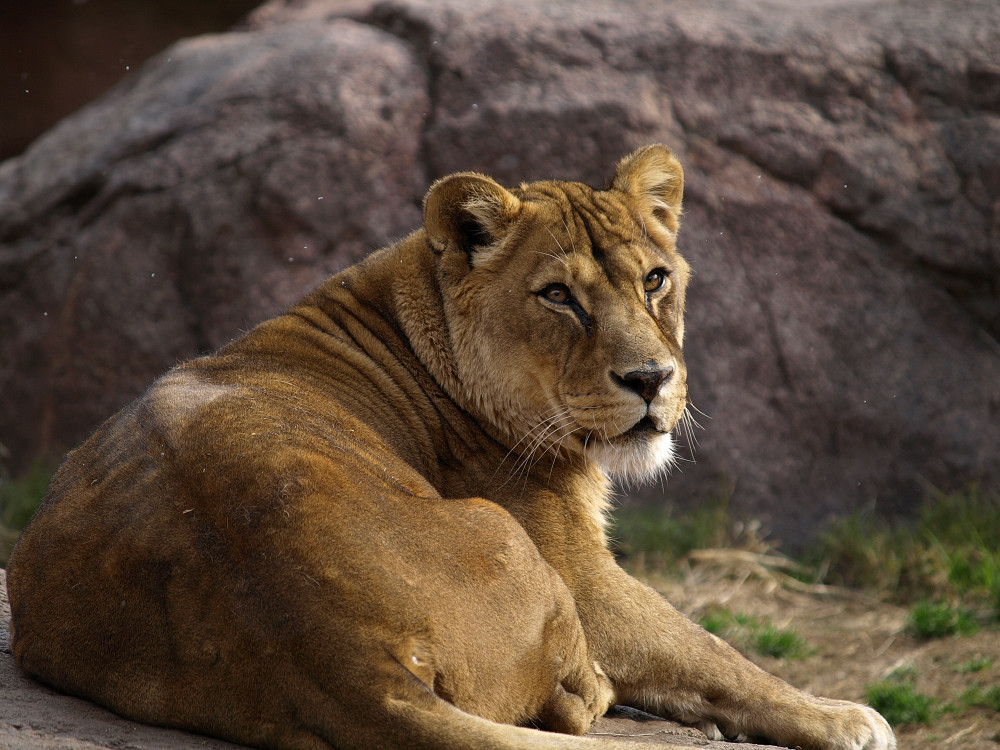 a0133692_20555529.jpg