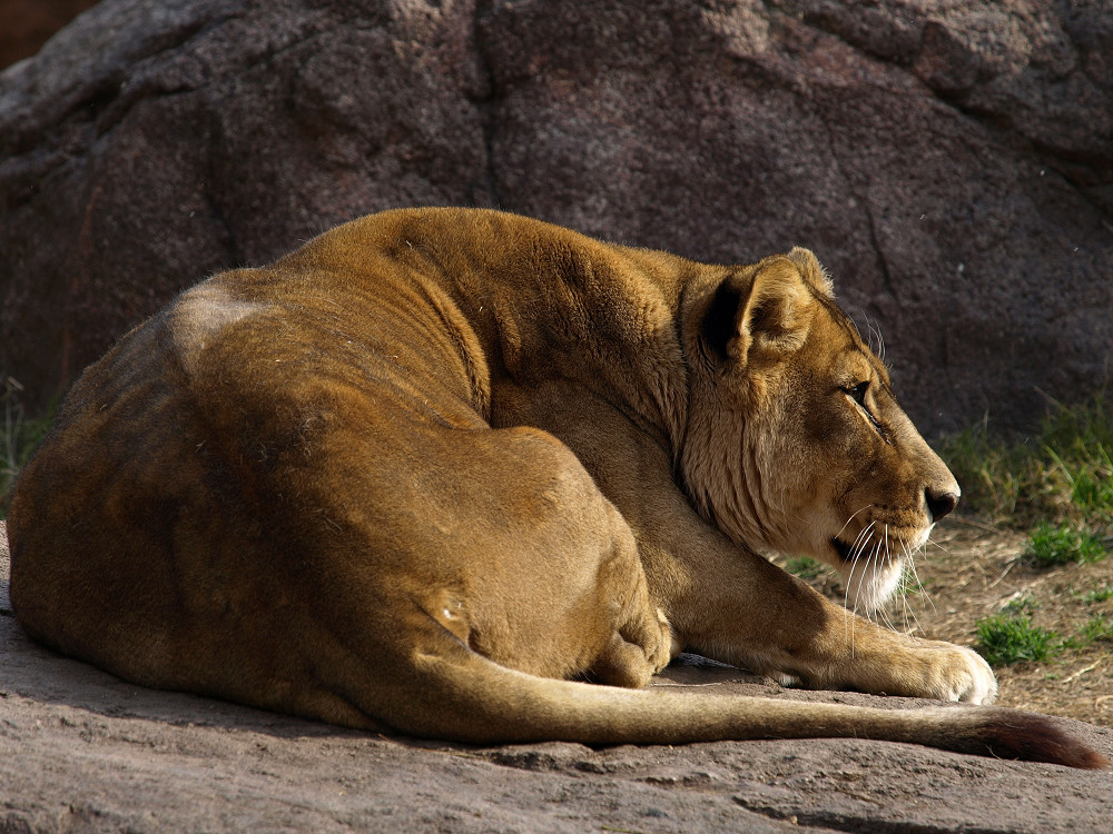 a0133692_213087.jpg