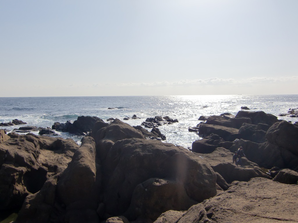b0029694_15123423.jpg