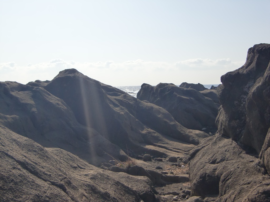 b0029694_1519358.jpg