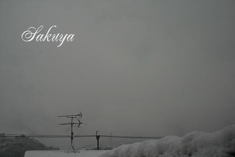 e0122194_8554190.jpg