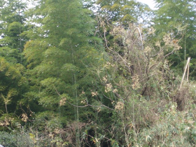 f0181295_16125012.jpg