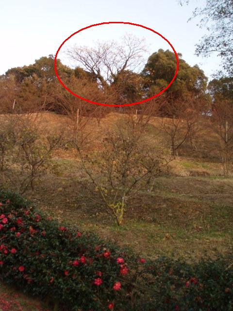 f0181295_1691676.jpg
