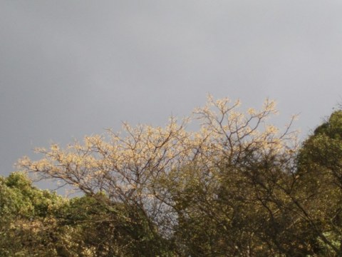 f0181295_169365.jpg