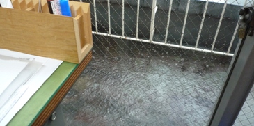 c0168096_8141768.jpg