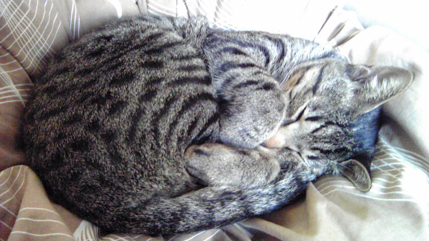 f0058098_22423611.jpg