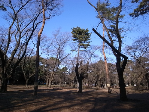 e0043700_22215625.jpg