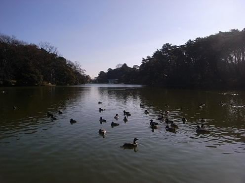 e0043700_222388.jpg