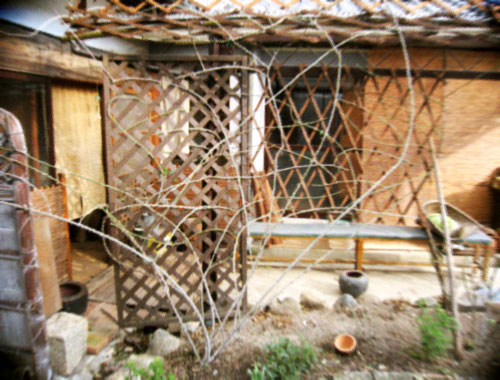 d0077603_1521630.jpg