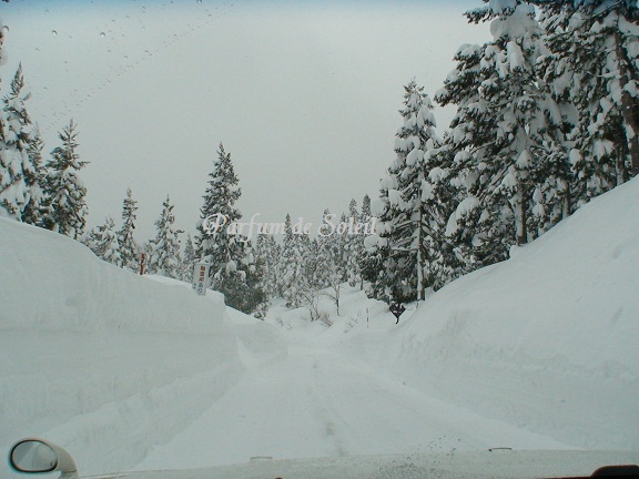 d0087503_22295876.jpg