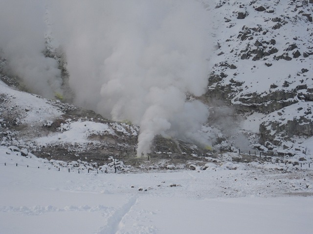 f0202703_19584552.jpg