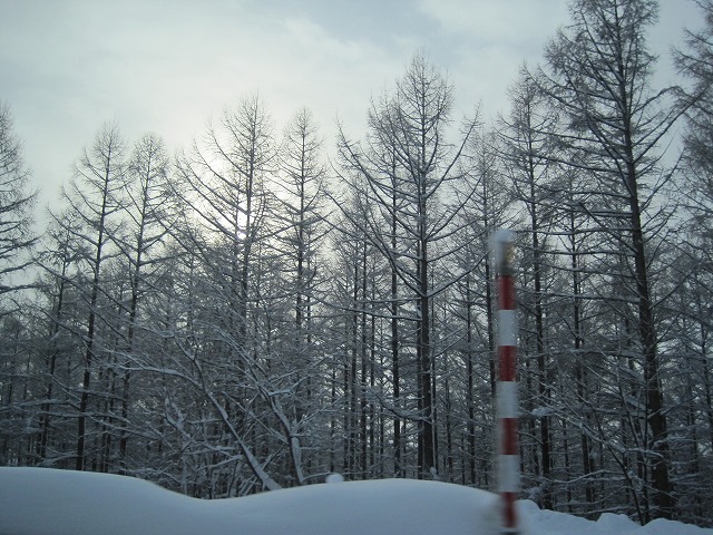 f0202703_22112758.jpg