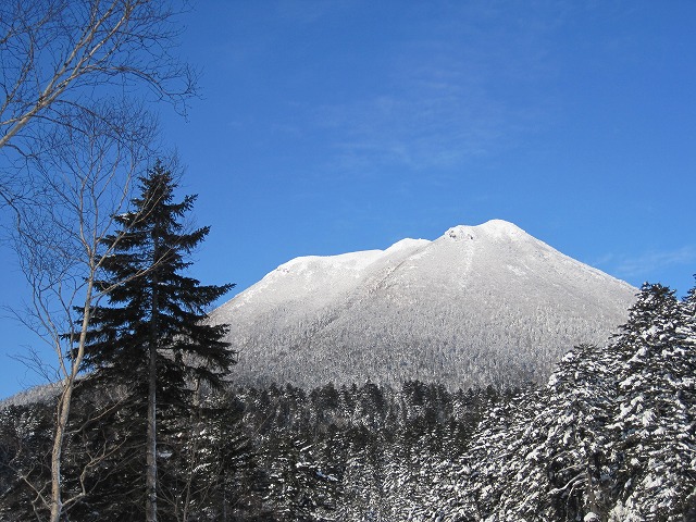f0202703_22212747.jpg