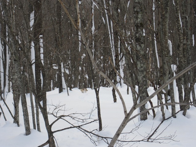 f0202703_2293412.jpg