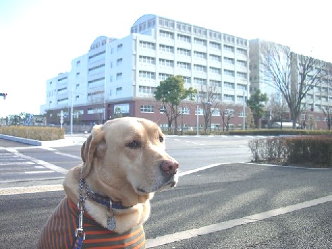 e0046305_1435268.jpg