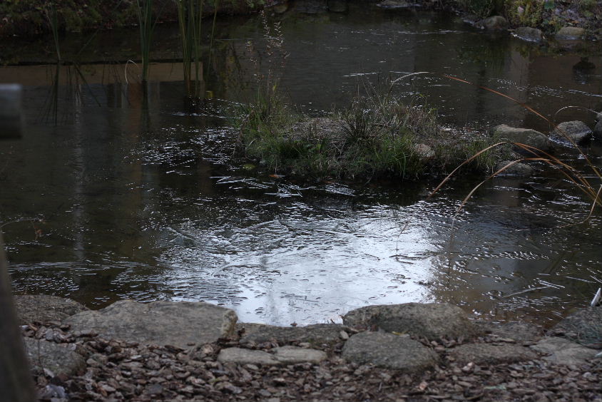 e0130008_1956166.jpg