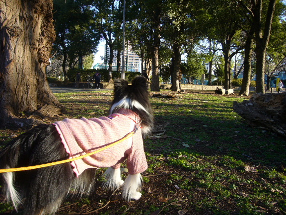 e0130008_2012323.jpg