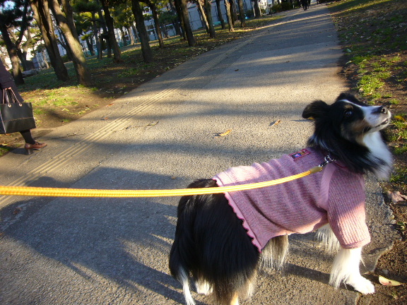 e0130008_20123441.jpg