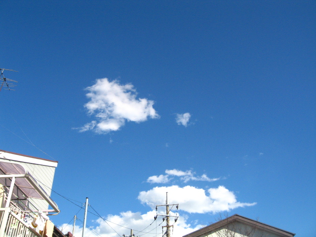 d0150309_19494753.jpg