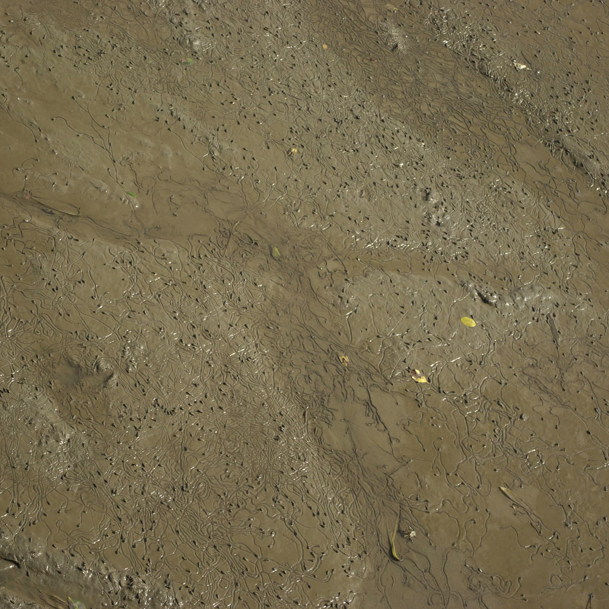 e0142611_2131196.jpg