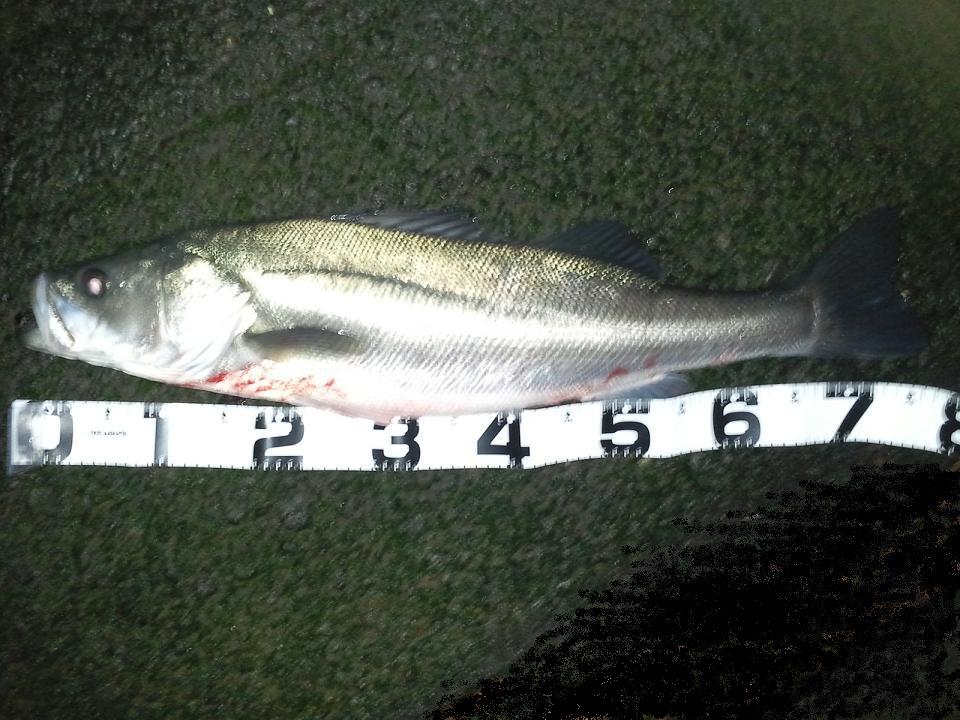 c0209312_12563296.jpg