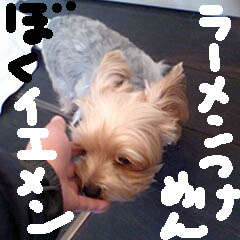 c0036617_619477.jpg