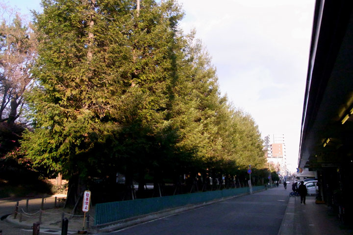 e0083517_331381.jpg