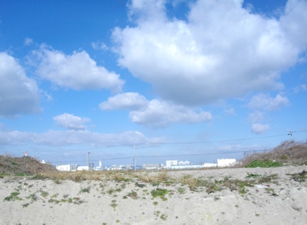 e0119017_1847432.jpg