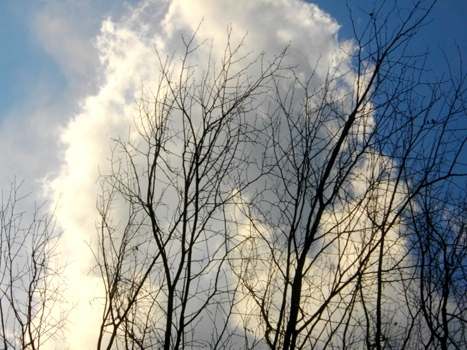 e0119017_2283982.jpg
