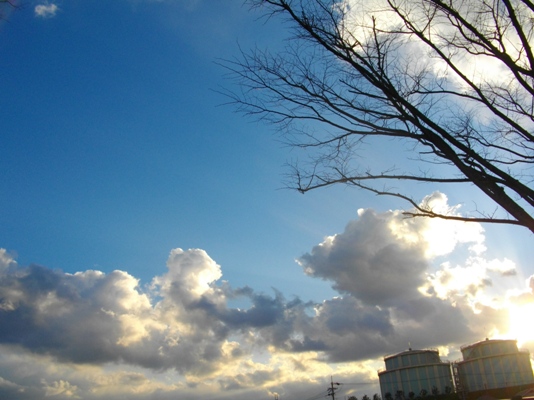 e0119017_2284930.jpg