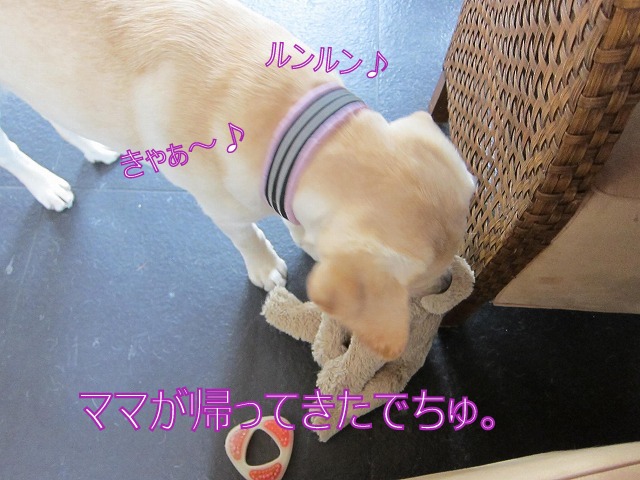 e0192217_13512675.jpg