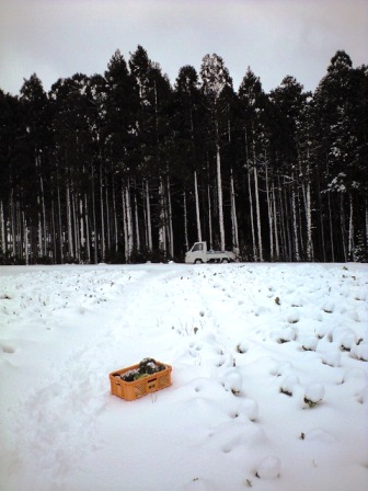 c0009224_21575695.jpg