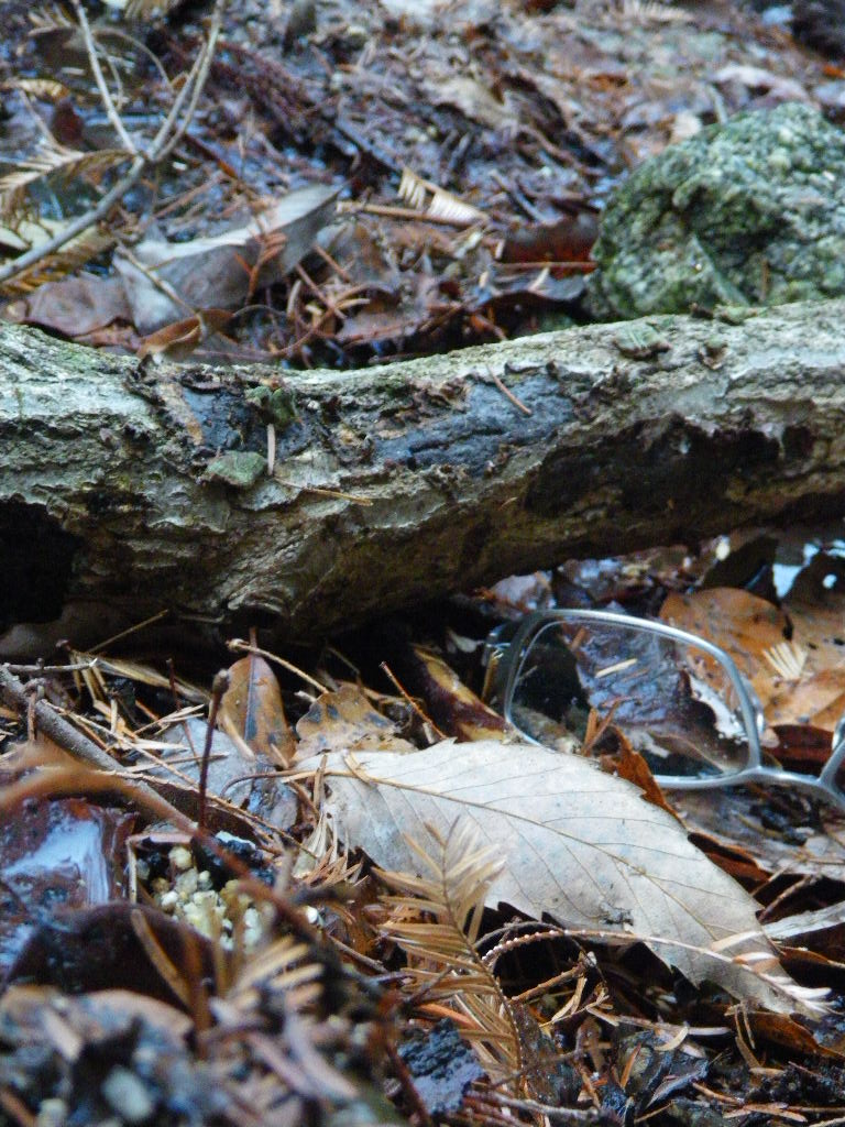 c0189724_23494011.jpg