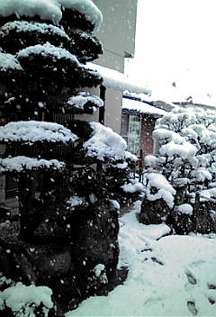 a0098027_145422.jpg