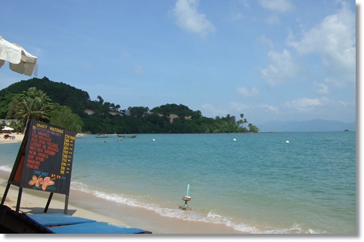 d0082628_2353697.jpg