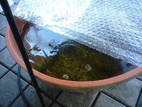 d0048332_12243492.gif