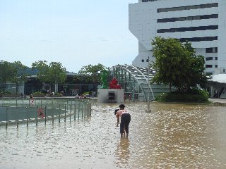 b0003235_23353712.jpg