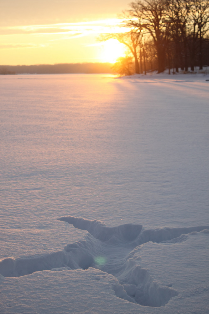 b0165939_19465731.jpg