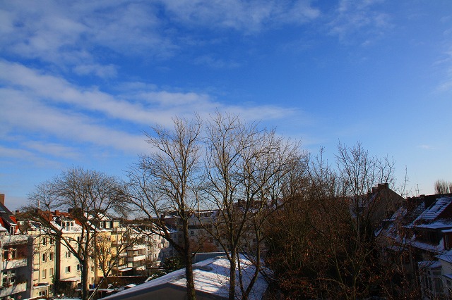 c0153740_2313143.jpg