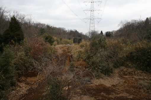 a0044046_094118.jpg