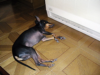 c0123149_19161436.jpg