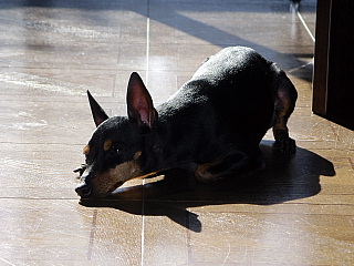 c0123149_19172546.jpg