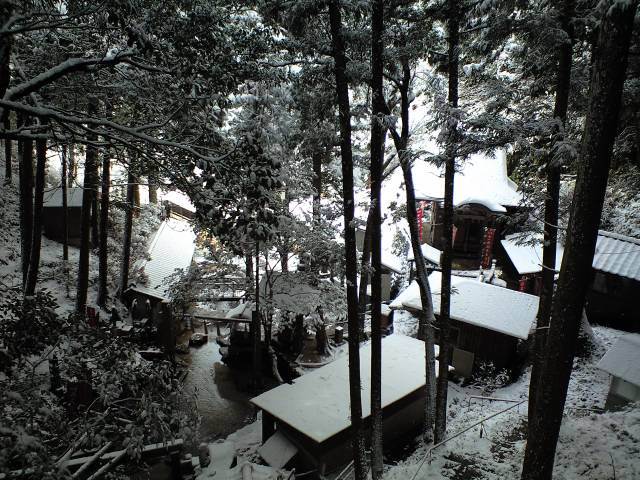 b0002156_1285254.jpg