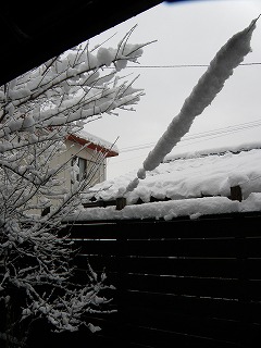 b0061863_195822100.jpg