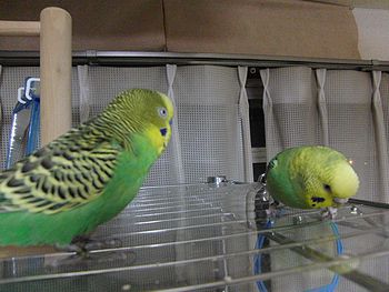 f0196665_045142.jpg