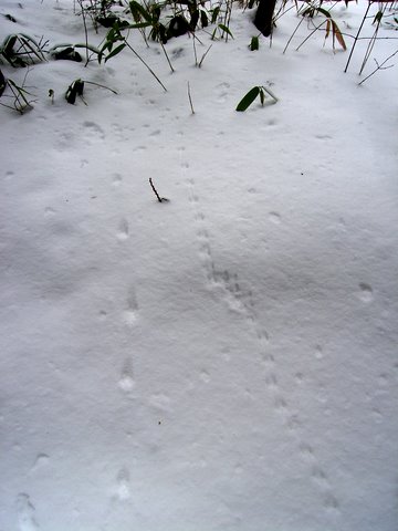 b0130166_12242336.jpg