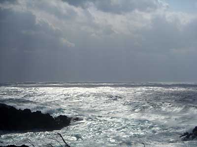 e0097770_1184486.jpg