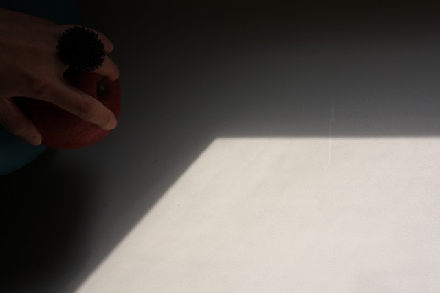 d0045374_18462677.jpg