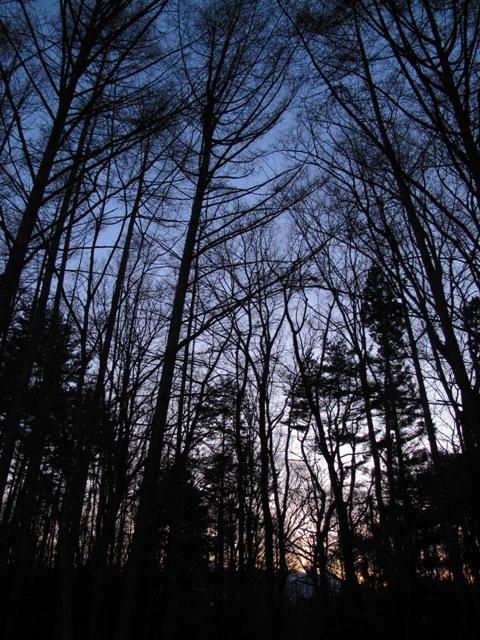 a0091680_1652566.jpg
